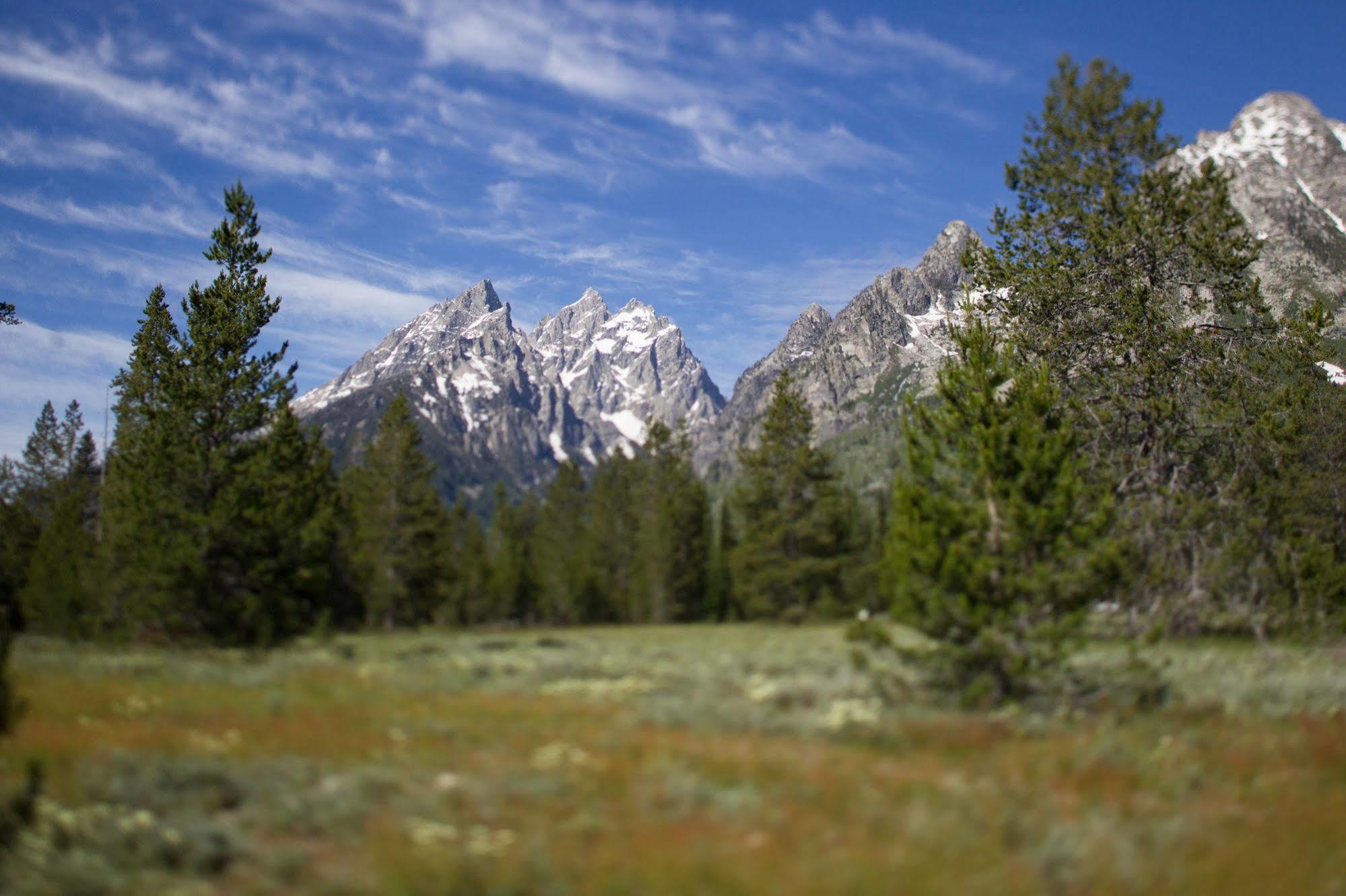 Jenny Lake Lodge Beaver Creek Esterno foto